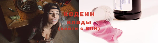 трава Белокуриха